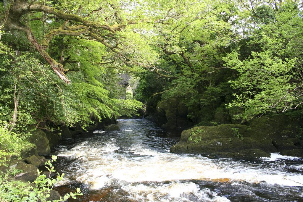 Feirm Cottage ケンメア エクステリア 写真